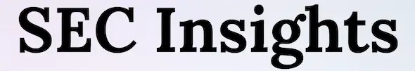SEC Insights AI- Document analysis lightning fast logo