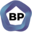 BetterPic-AI-generated professional headshots for individuals and businesses. logo