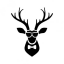 EasySpider: Visual No-Code Web Crawler logo