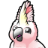 Cockatoo - Video to Text, Audio to Text, AI Transcription Services logo