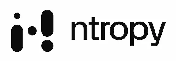 Ntropy Insights- Save 80% on underwriting businesses everywhere logo