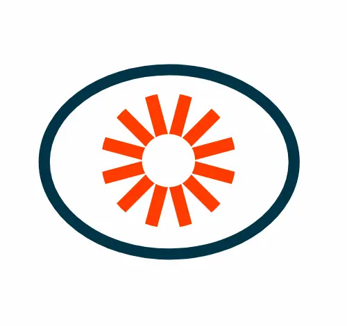 Visual Electric logo
