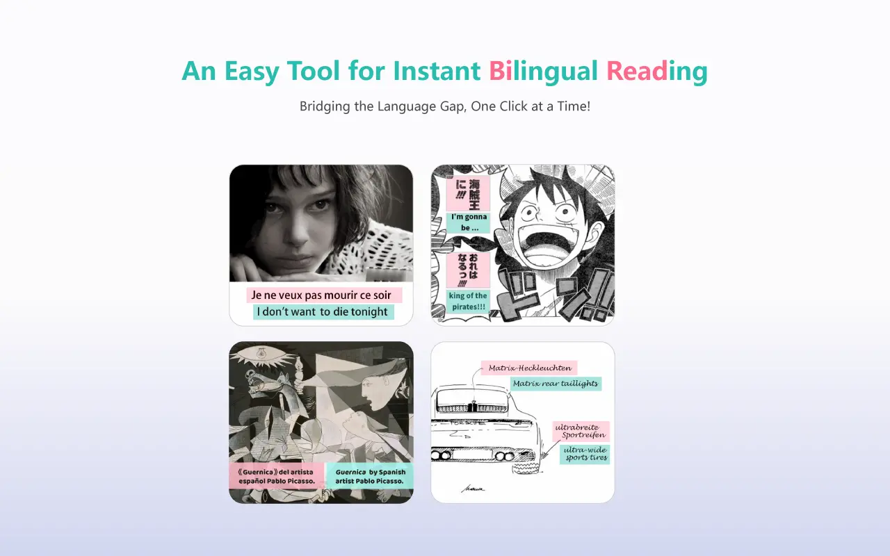BiRead screenshot