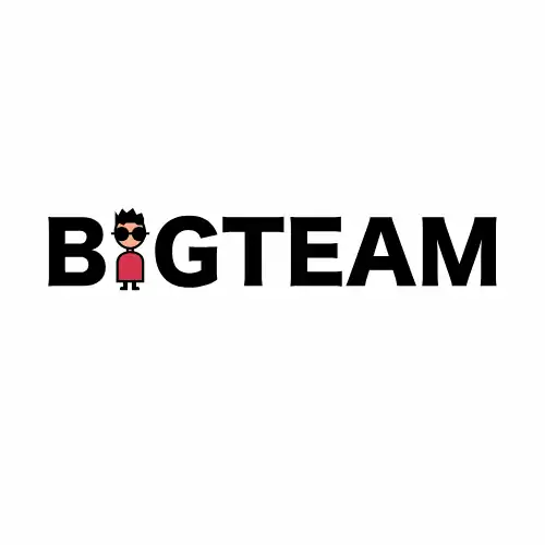 Bigteam logo